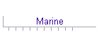 Marine