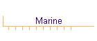 Marine