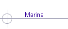 Marine